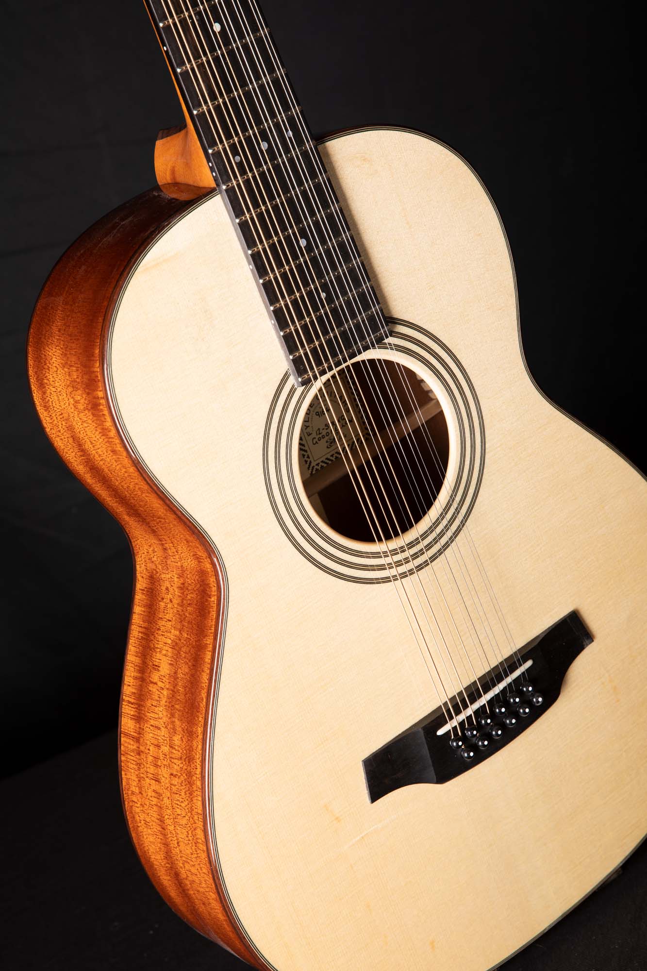 Goodfellow 12-String LC1A7989